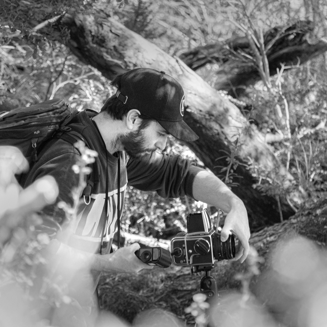 Camera and film