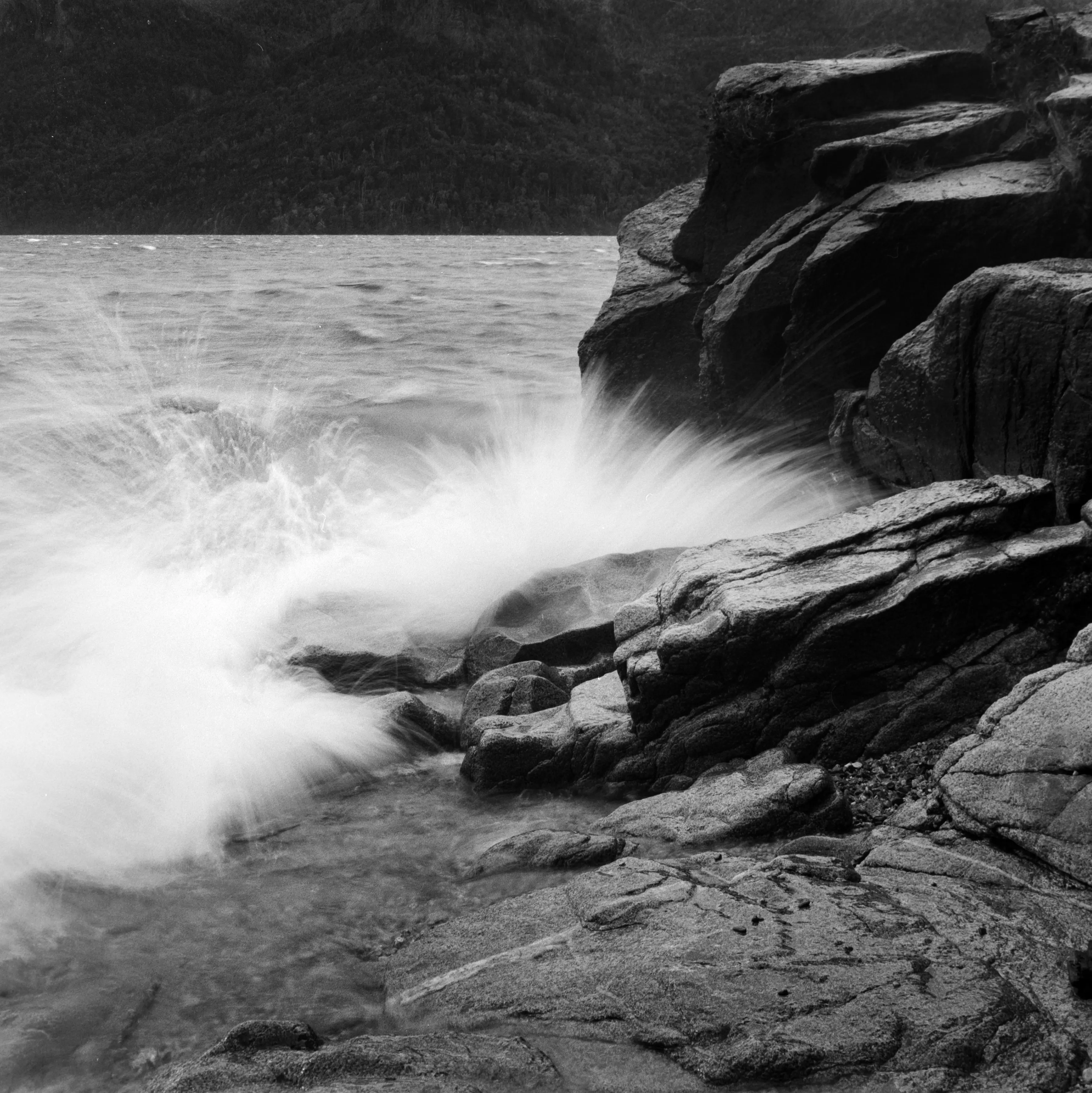 Fuerza Natural